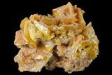 1.9" Orange Wulfenite Crystal Cluster - La Morita Mine, Mexico - #170314-1